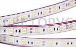 Потолочная светодиодная лента RTW 2-5000PGS 12V 2x (5060, 300 LED) 5м